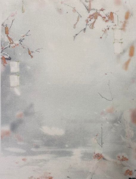 Misty Sakura Designer Printed AIDA Fabric. Canvas for embroidery with an applied background  KF-1372A