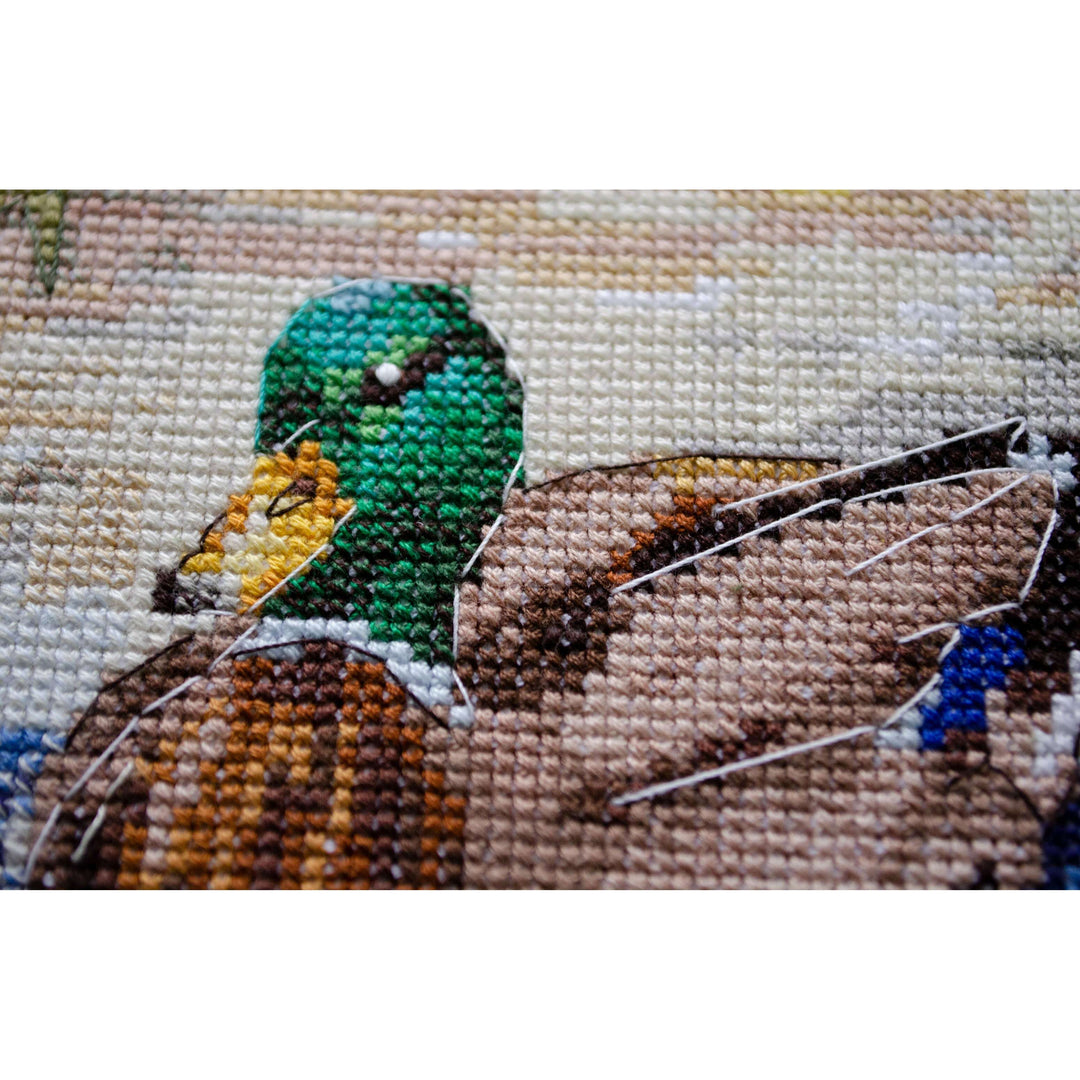 Counted Cross-stitch kit - Evening swim AH-259