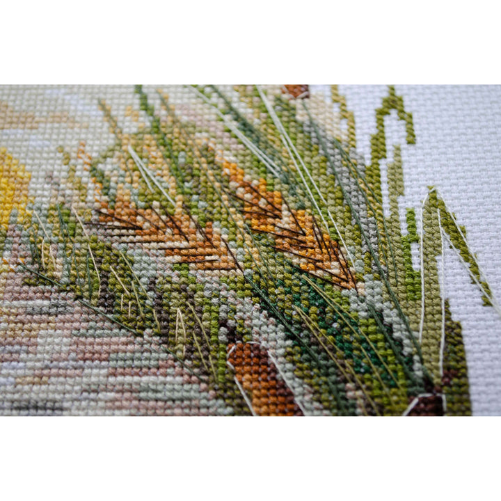 Counted Cross-stitch kit - Evening swim AH-259