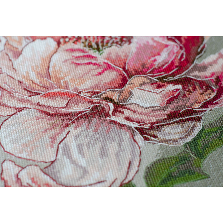 Counted Cross-stitch kit -  Graceful beauty AH-256