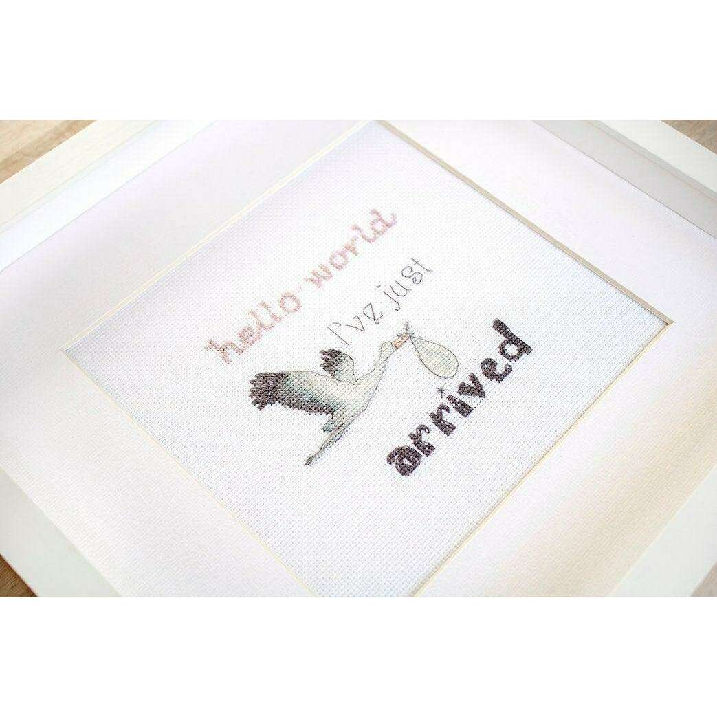 Counted Cross Stitch Kit A gift for a newborn Leti931