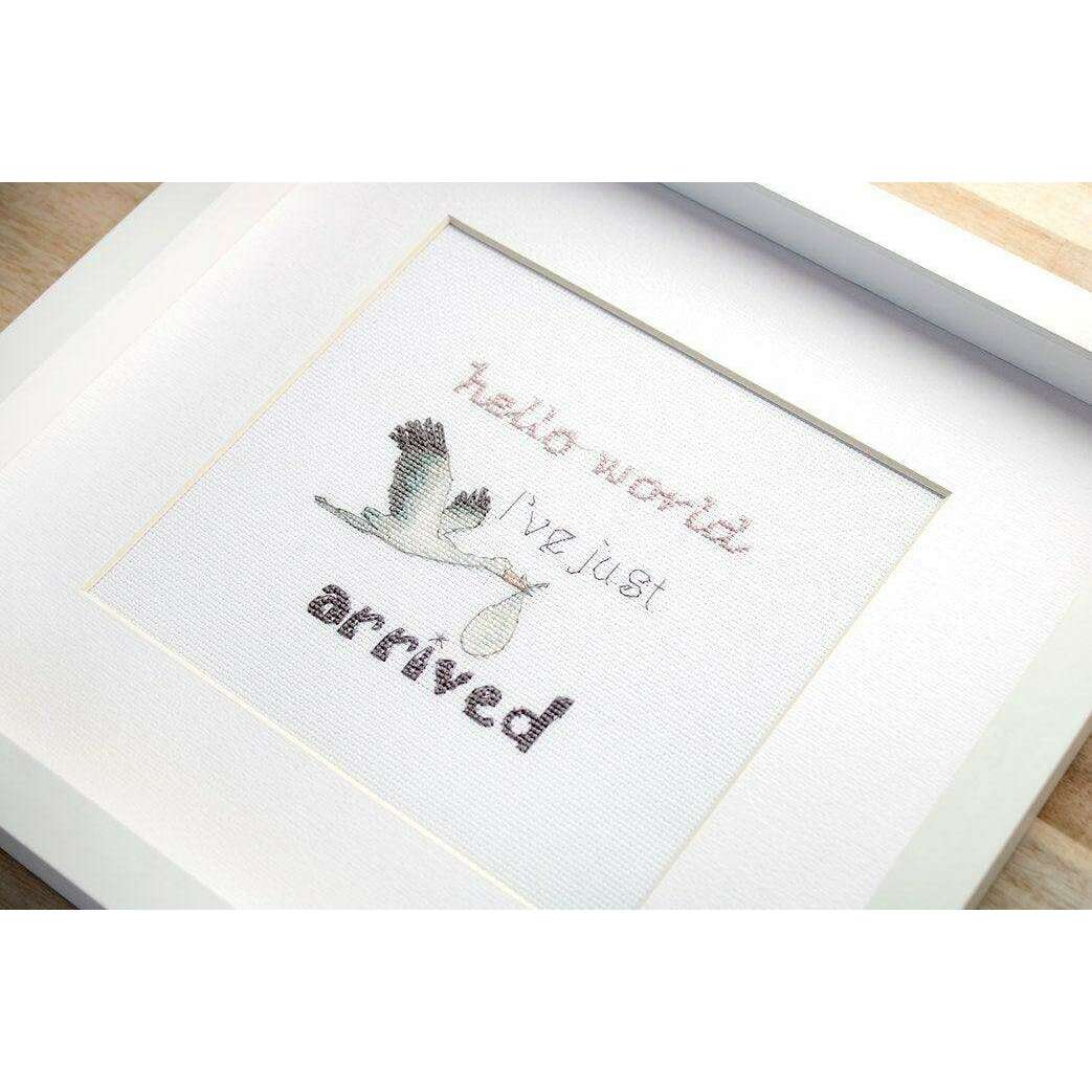 Counted Cross Stitch Kit A gift for a newborn Leti931