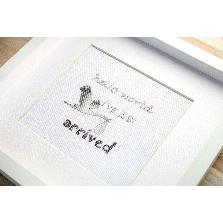 Counted Cross Stitch Kit A gift for a newborn Leti931