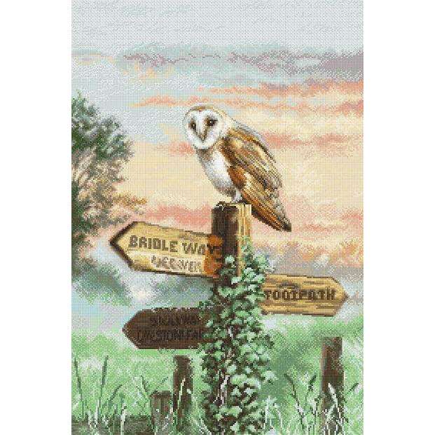 Counted Cross Stitch Kit Barn Owl L8031