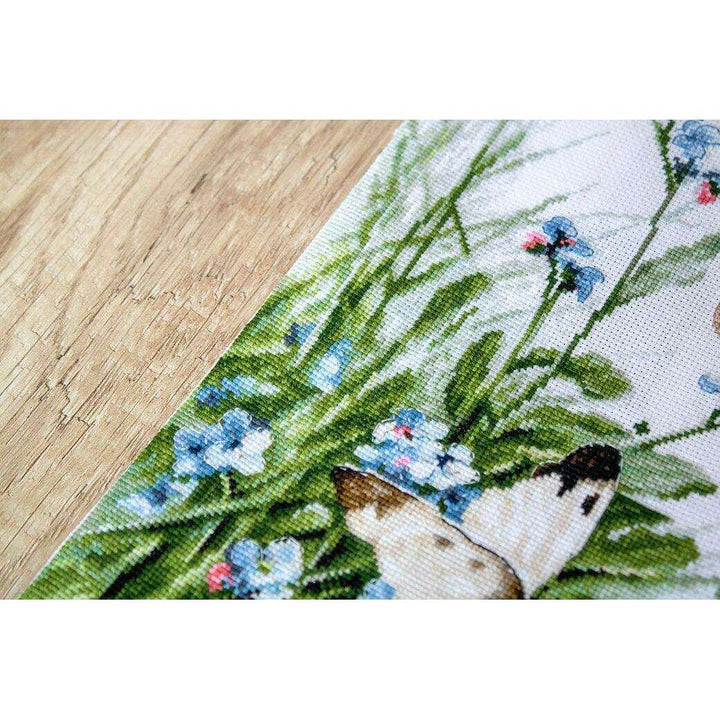 Counted Cross Stitch Kit Butterflies and bluebird flowers Leti939