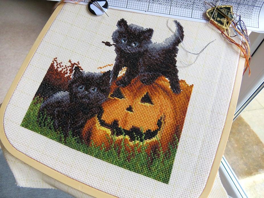 Counted Cross Stitch Kit Did we scare you? Leti964
