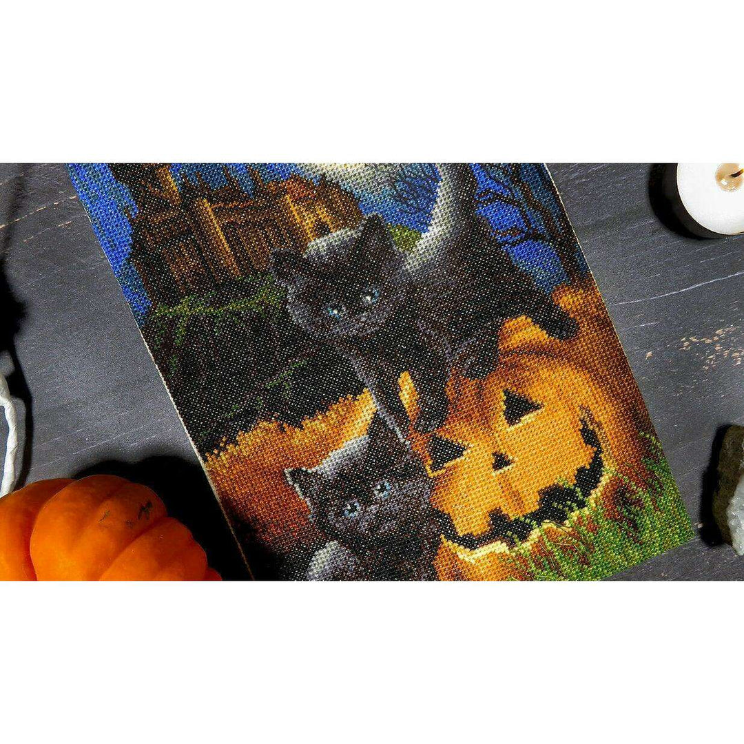 Counted Cross Stitch Kit Did we scare you? Leti964