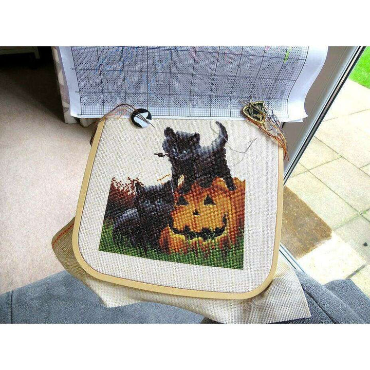 Counted Cross Stitch Kit Did we scare you? Leti964