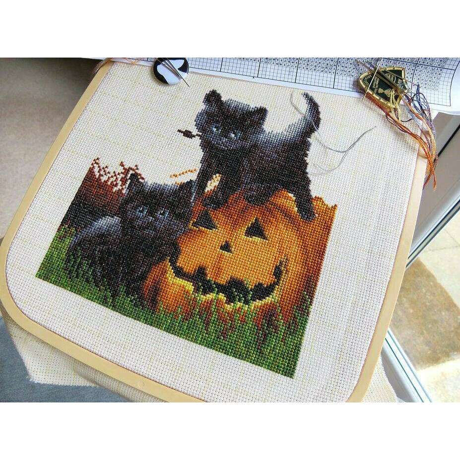 Counted Cross Stitch Kit Did we scare you? Leti964