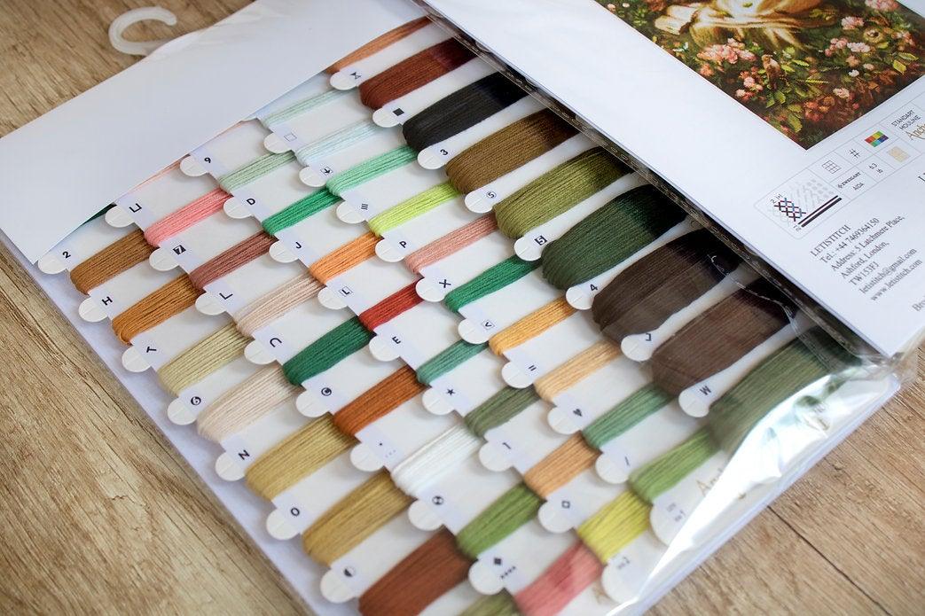 Counted Cross Stitch Kit Into Dreamland Leti959