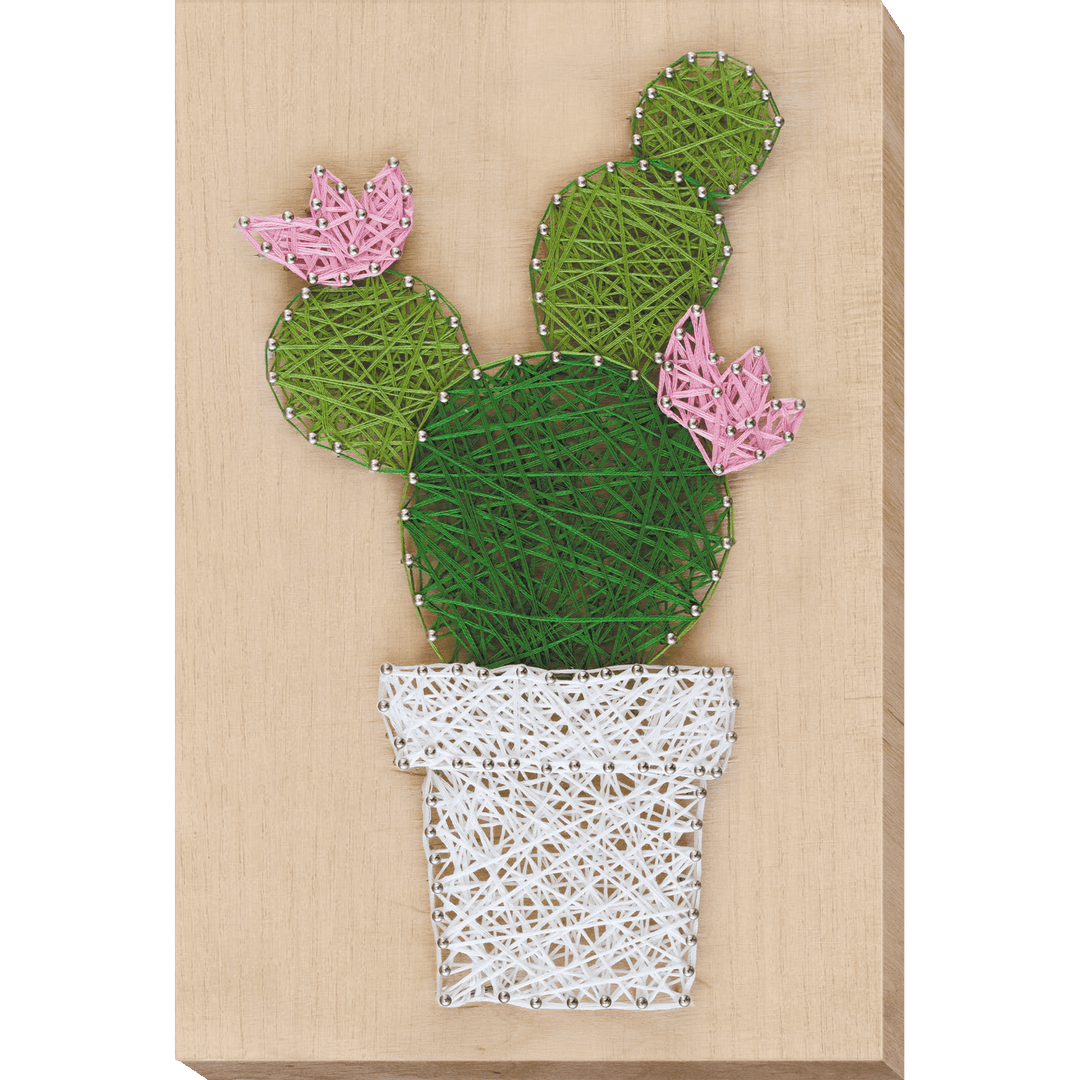 Creative Kit/String Art Cactus ABC-002