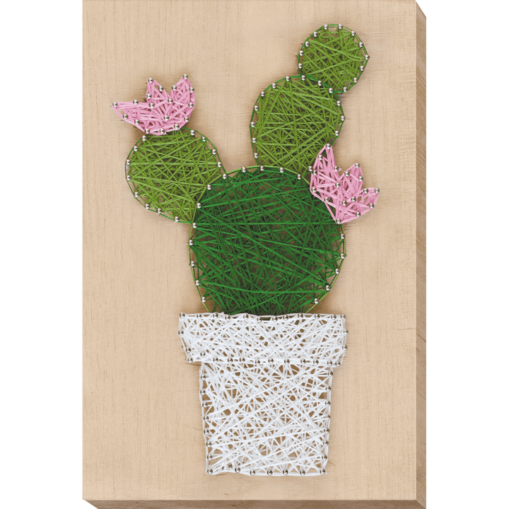 Creative Kit/String Art Cactus ABC-002