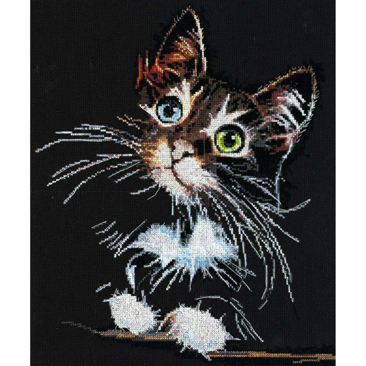Cross-stitch kit Cute kitten AH-062