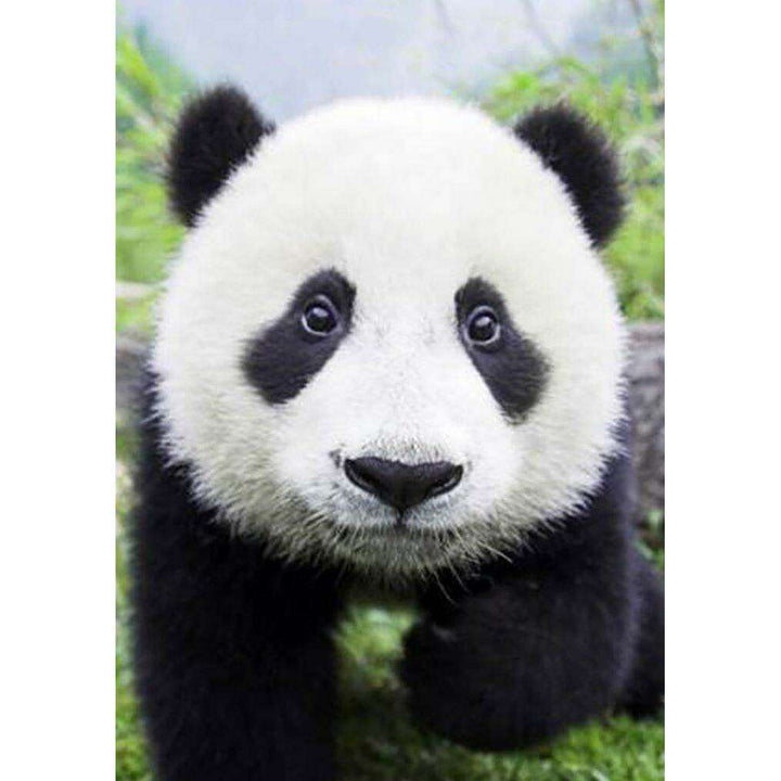 Curious Panda WD074 11.8 x 7.9 inches Wizardi Diamond Painting Kit