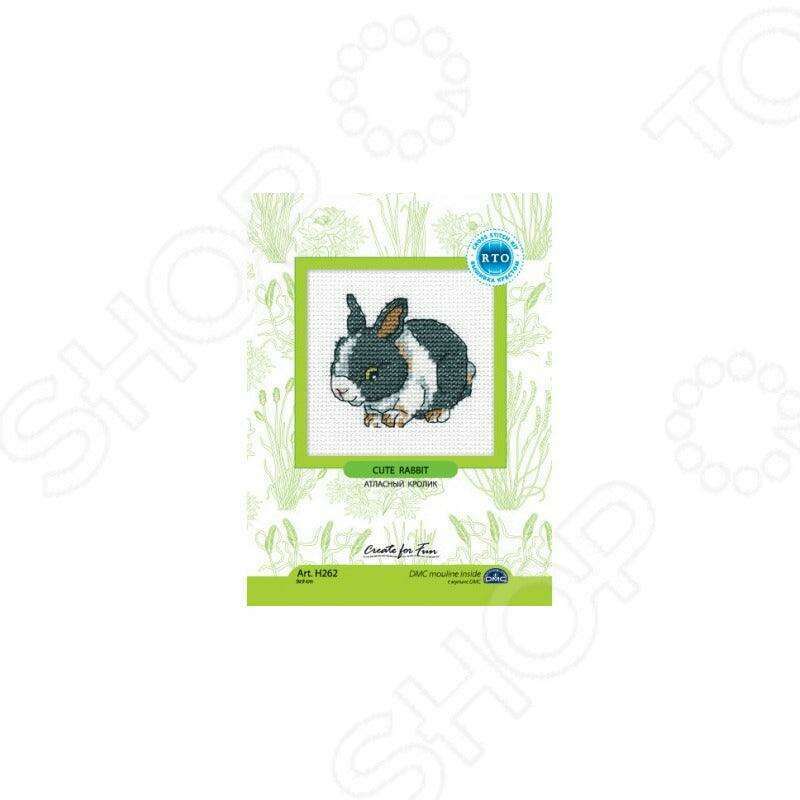Cute rabbit H262 Counted Cross Stitch Kit