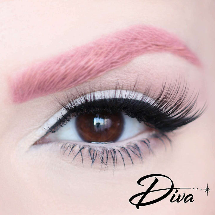 D Poodle Collection- Lashes in Compact