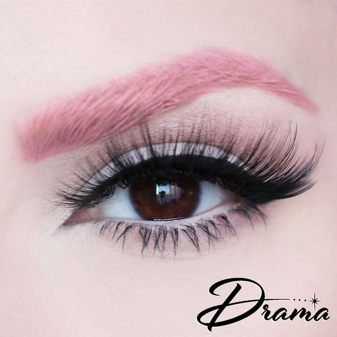 D Poodle Collection- Lashes in Compact