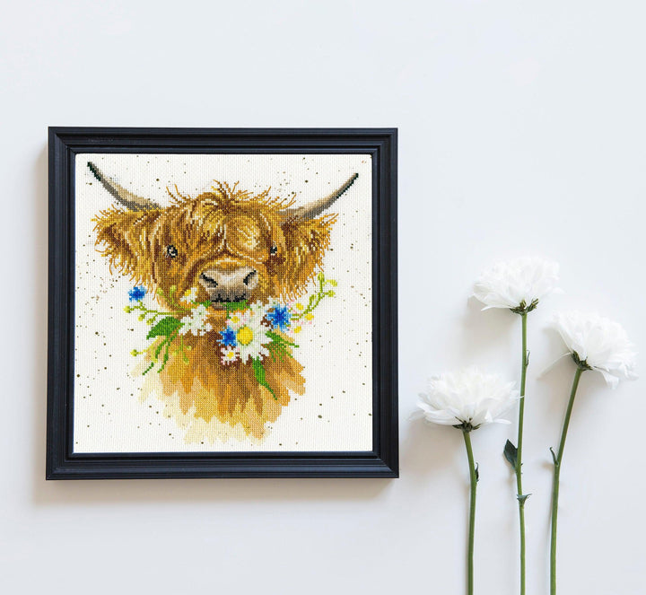 Daisy Coo XHD42 Counted Cross Stitch Kit