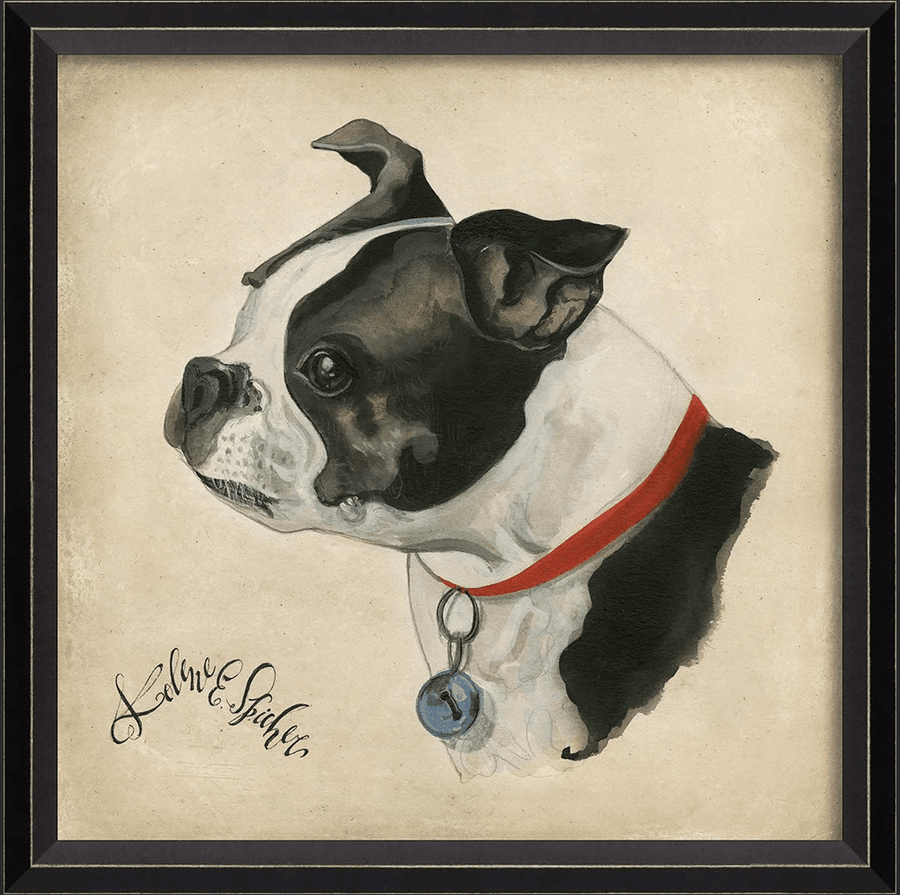 Dog Portrait Buster Wall Art By Spicher and Company - Quirks!