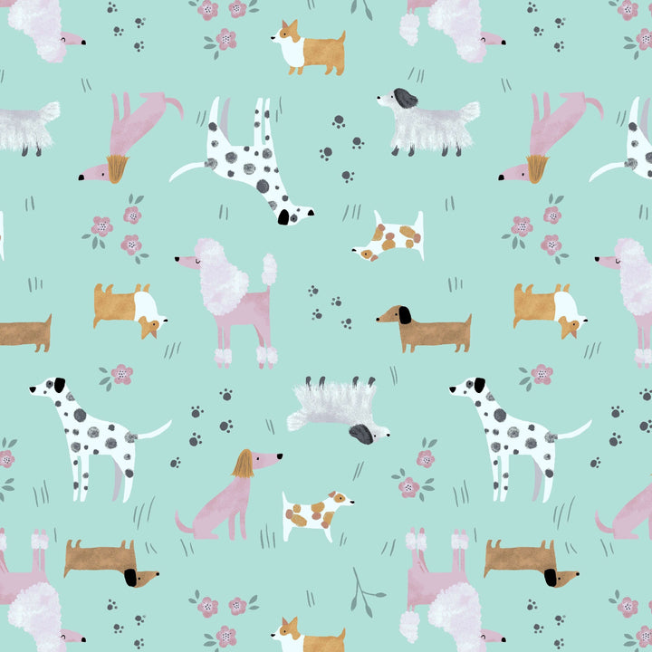 Dogs Collared Dress