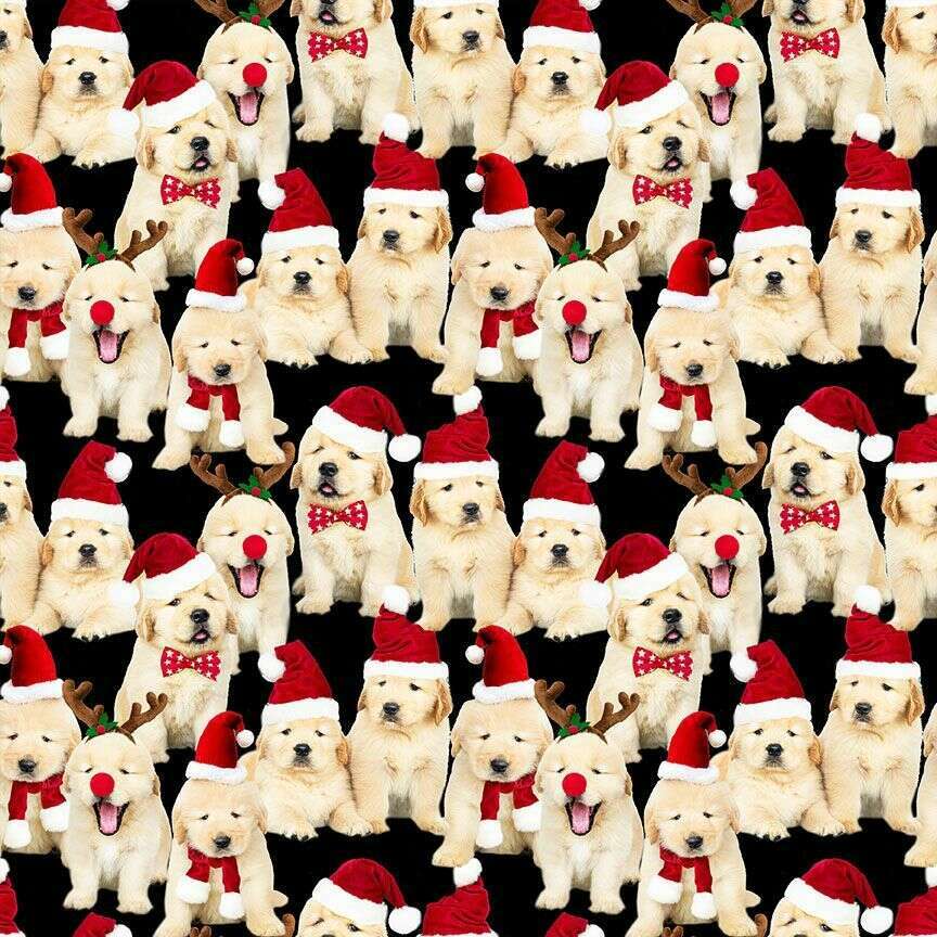 Dogs in Santa Hats Shorter Fit & Flare Dress