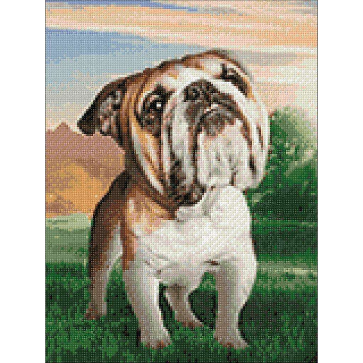 Dreaming Dog CS2537 11.8 x 15.7 inches Crafting Spark Diamond Painting Kit