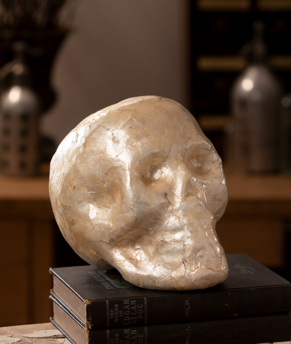Capiz Skull by Bethany Lowe Designs, image 2