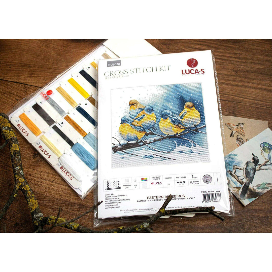 Eastern Bluebirds BU5028l Counted Cross-Stitch Kit