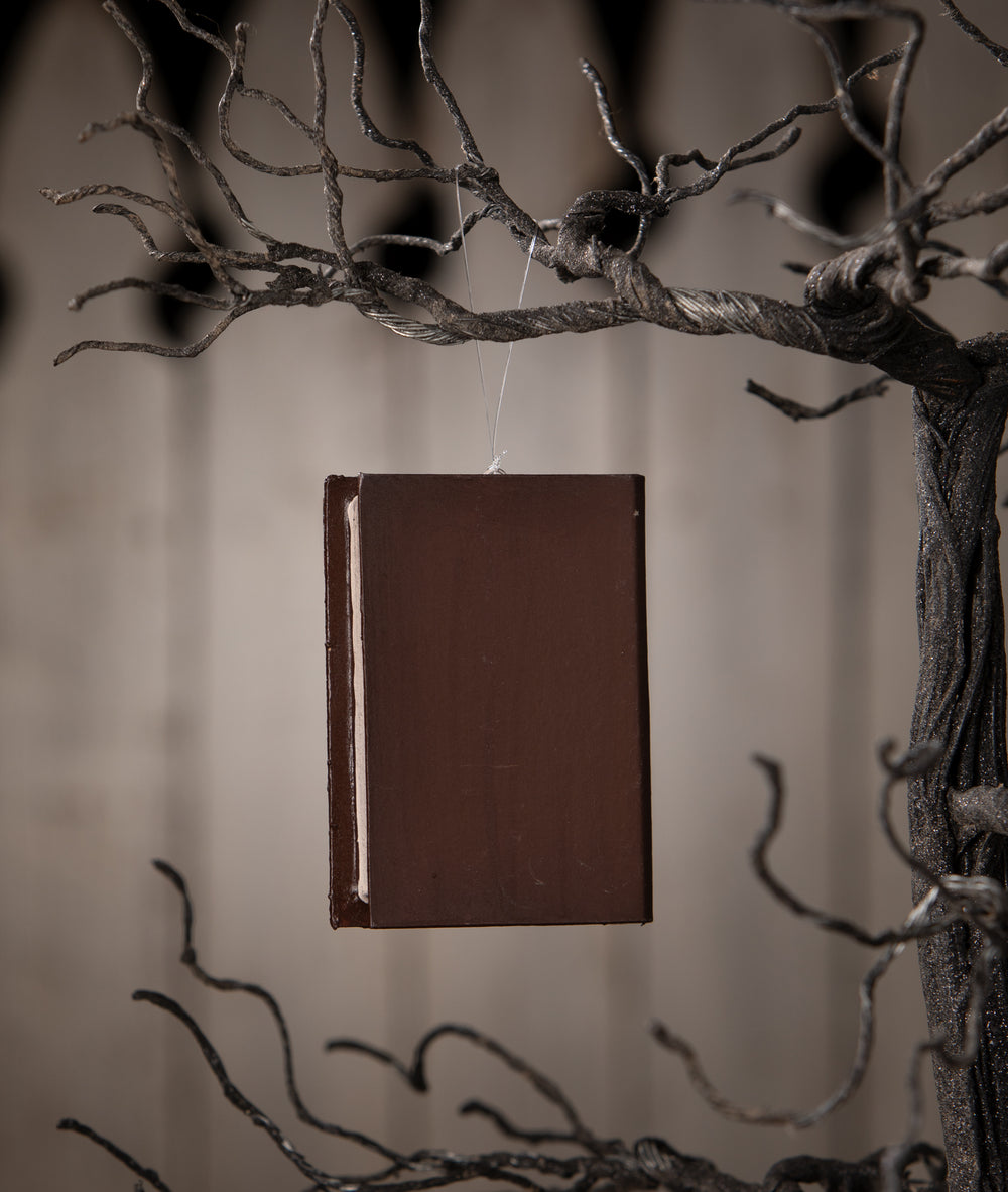 Witch Hat Book Ornament by Bethany Lowe Designs, image 2