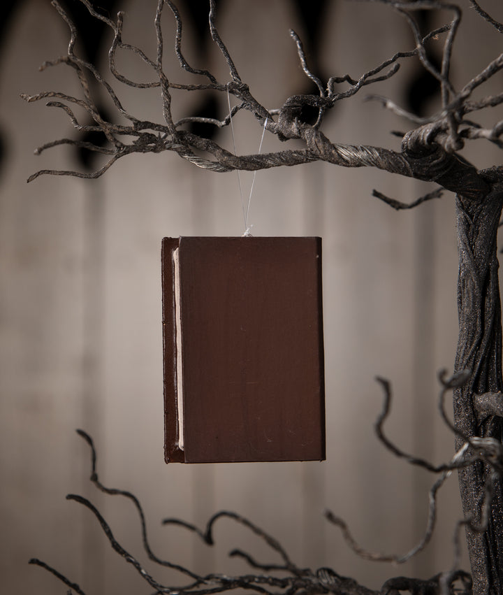 Witch Hat Book Ornament by Bethany Lowe Designs, image 2