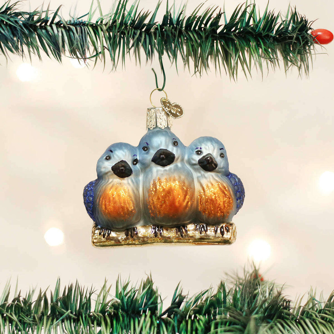 Old World Christmas Feathered Friends Blown Glass Ornament