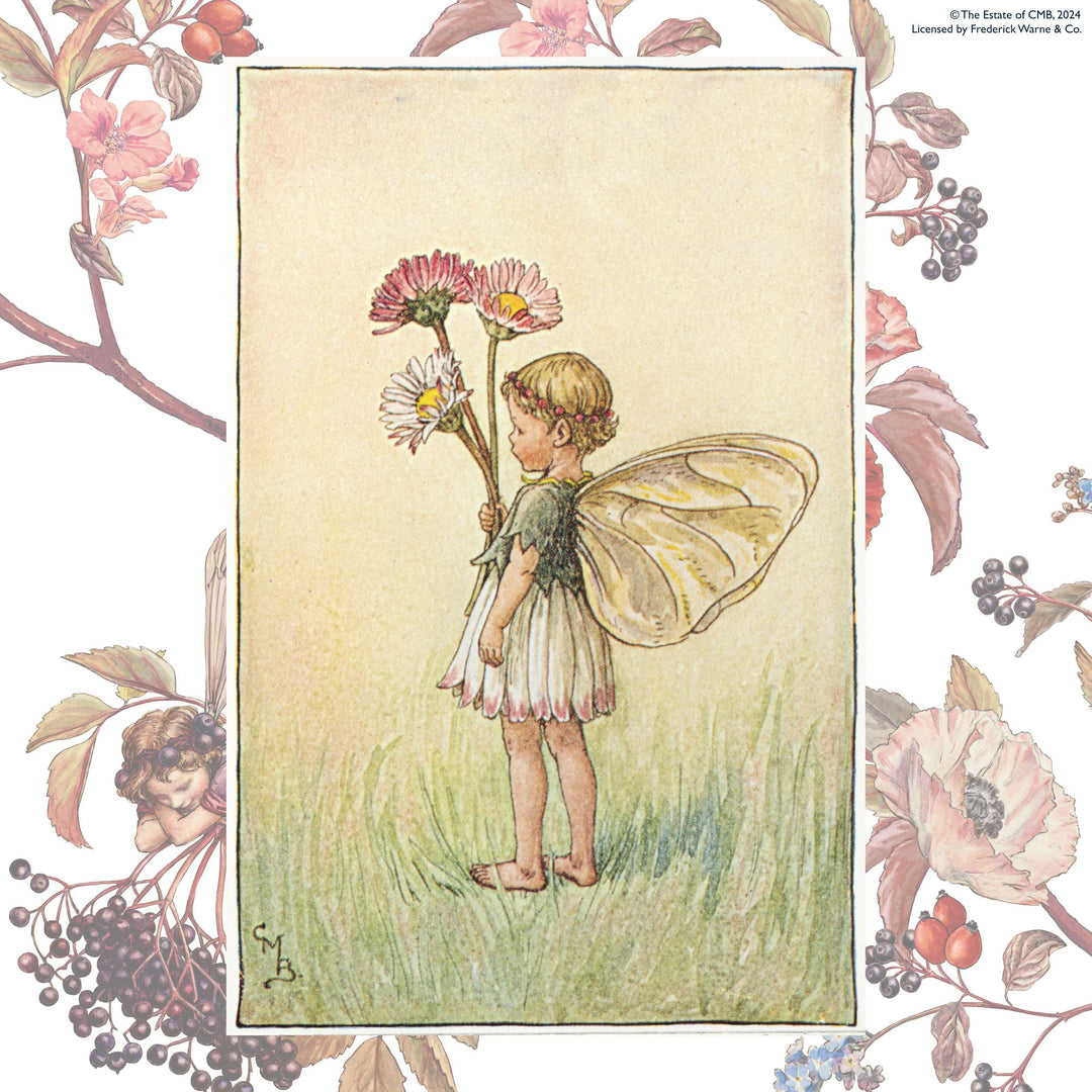 Felting Kit -  Daisy Fairy Needle Felting Kit