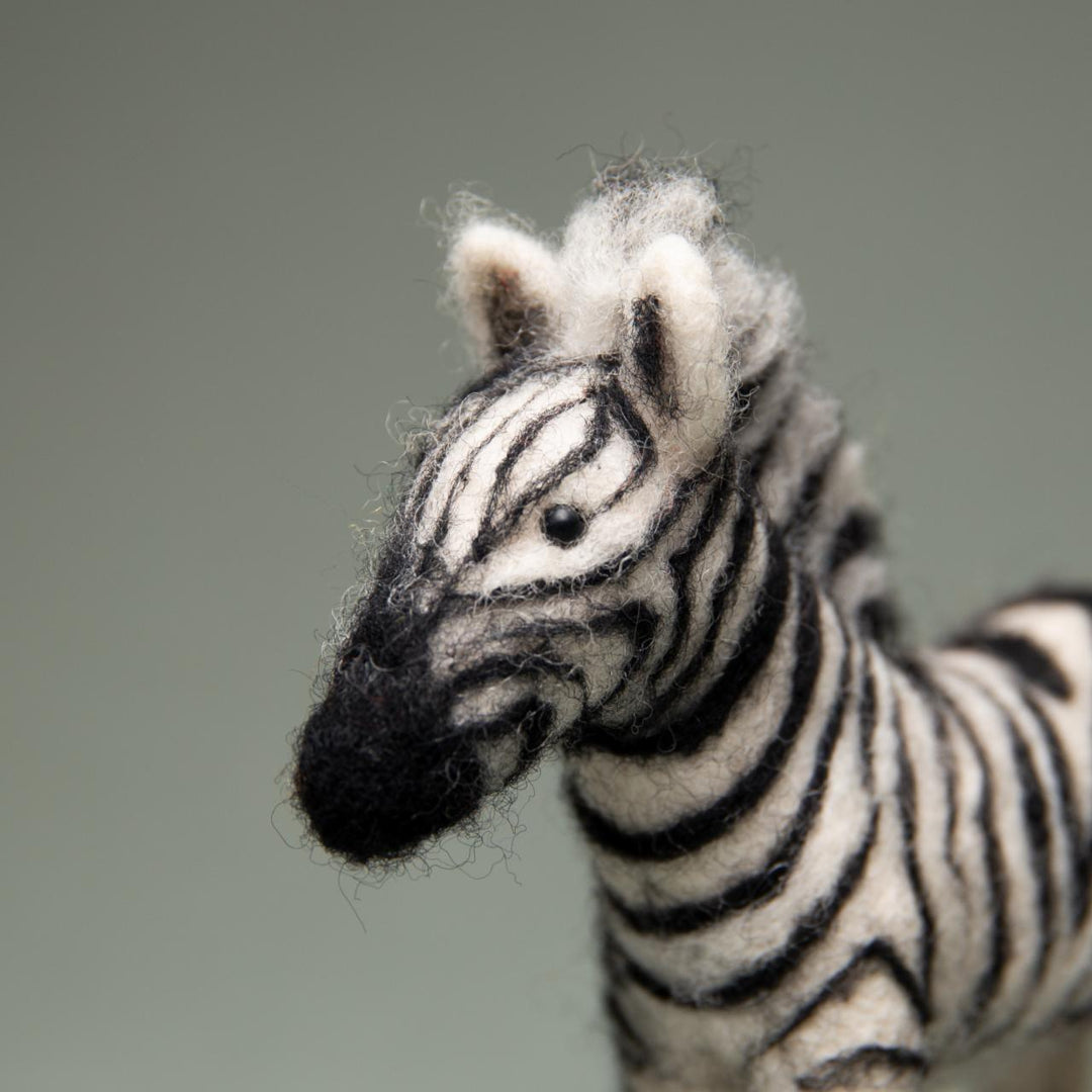 Felting kit Zambezi V-113C