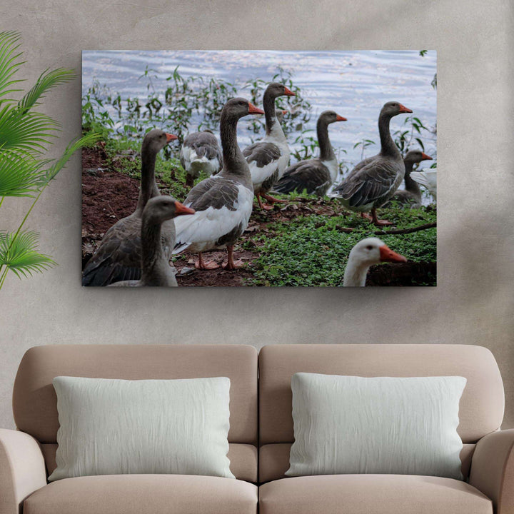 Flock Of Domestic Geese Canvas Wall Art