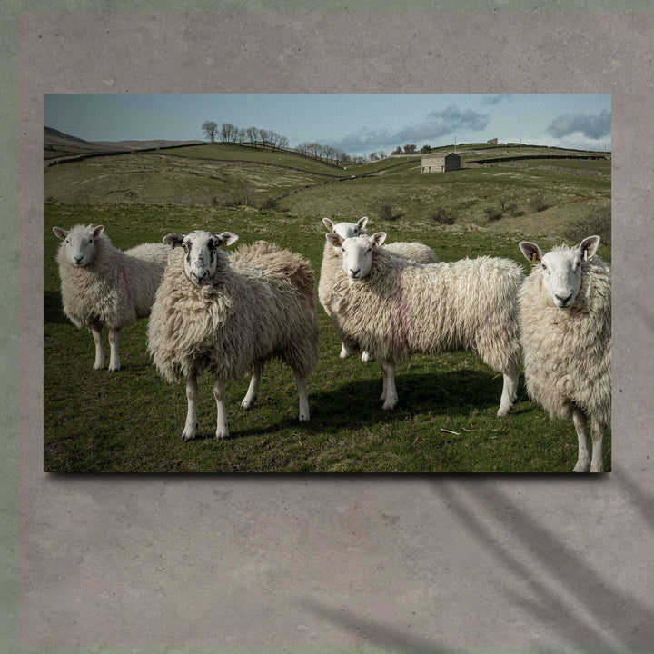 Flock Of Sheep Canvas Wall Art