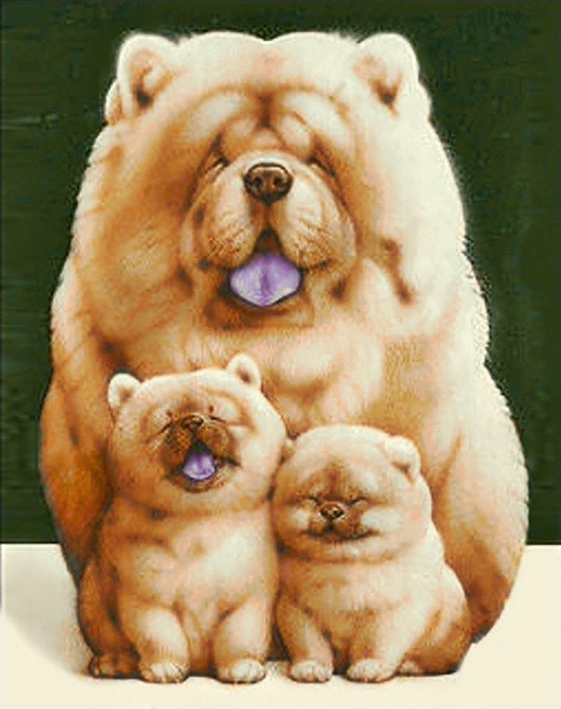 Fluffy Family WD187 14.9 x 18.9 inches Wizardi Diamond Painting Kit