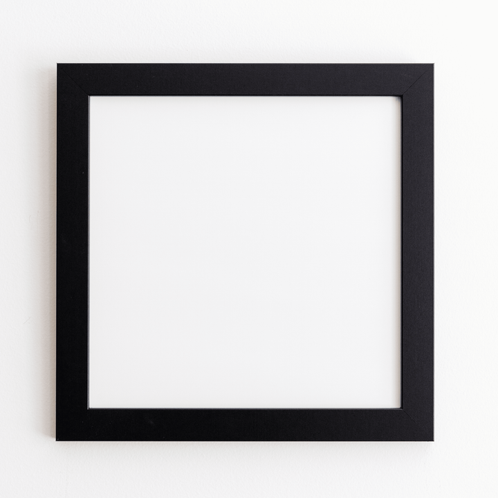 Frame Only