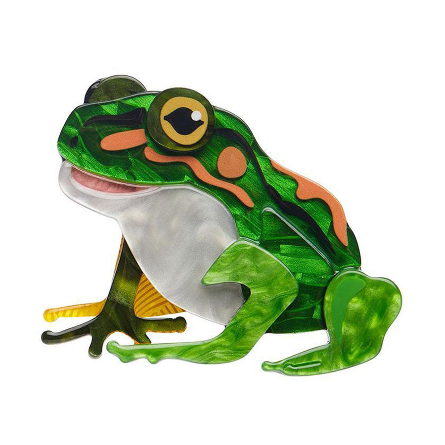 Frodo the Frog Brooch by Erstwilder image