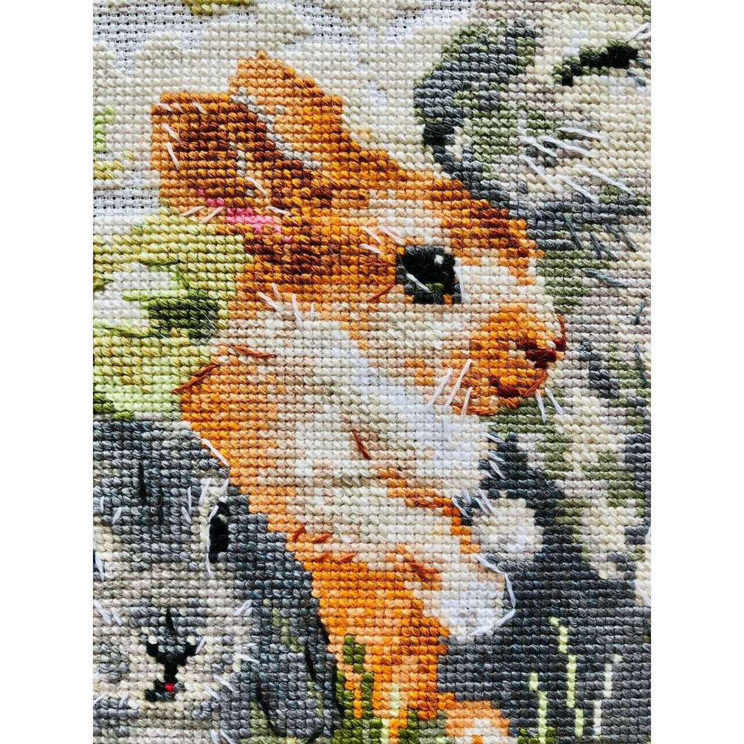 Funny Rabbits R1416 Counted Cross Stitch Kit