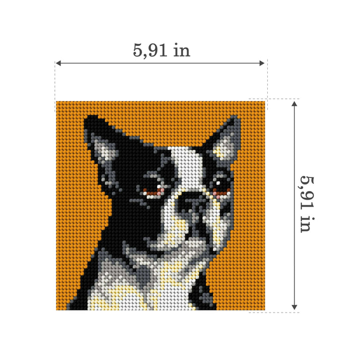 Gobelin canvas for halfstitch without yarn Boston Terrier 2719D