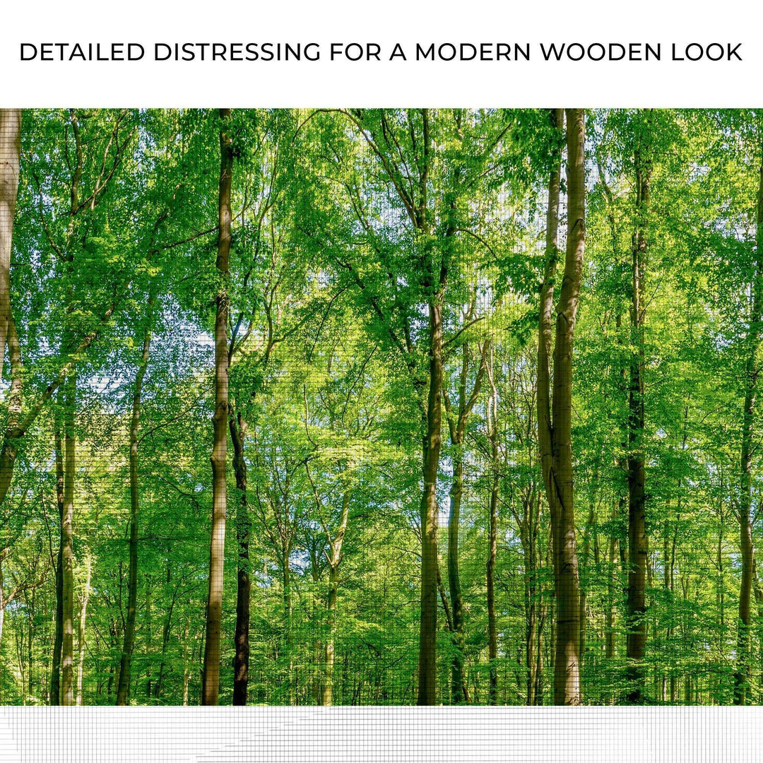 Golden Rays Into The Forest Canvas Wall Art