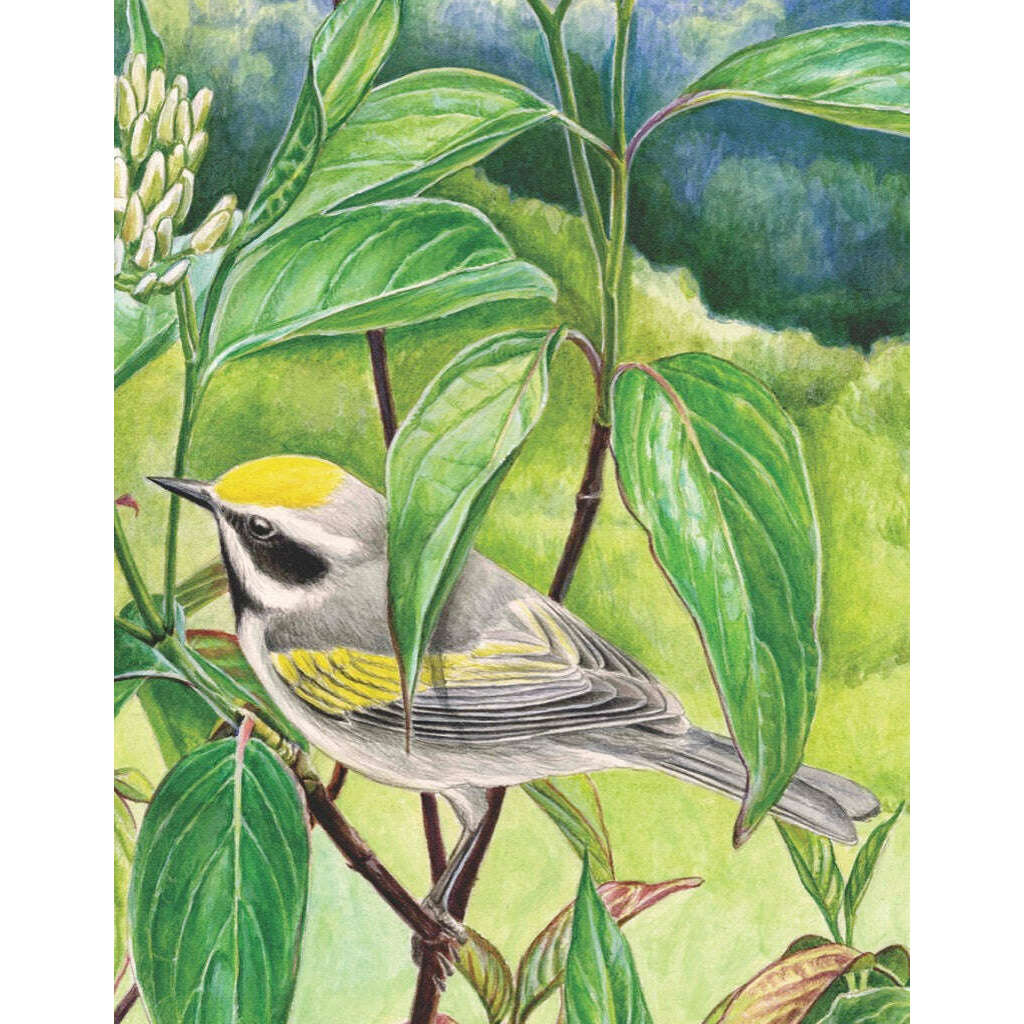 Golden-winged Warbler Mini Jigsaw Puzzle