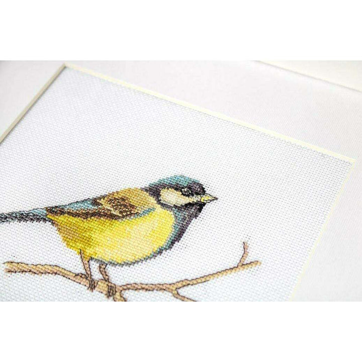 Great tit  B1155L Counted Cross-Stitch Kit