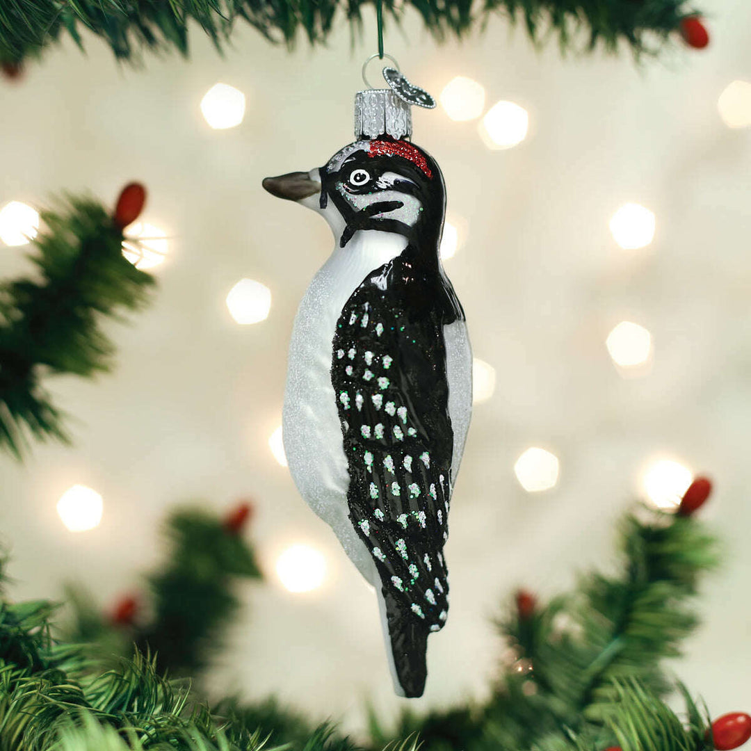 Old World Christmas Hanging Hairy Woodpecker Blown Glass Ornament