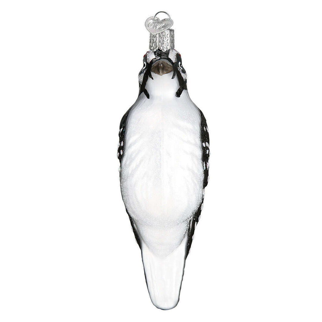 Old World Christmas Hanging Hairy Woodpecker Blown Glass Ornament