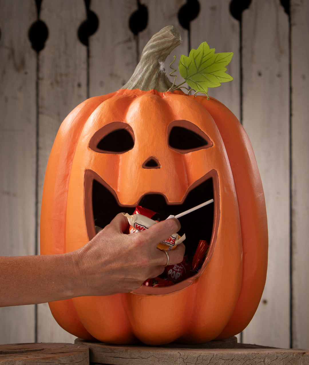 Big Mouth Jack O'Lantern by Bethany Lowe Designs, image 4