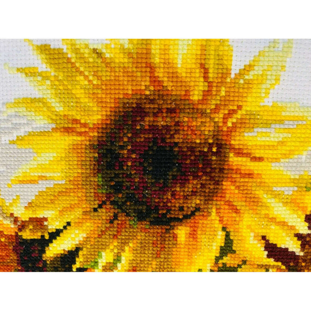 Hot Summer R1488 Counted Cross Stitch Kit