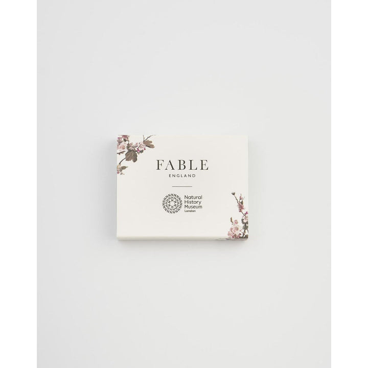 Hummingbird Brooch by Fable England 4