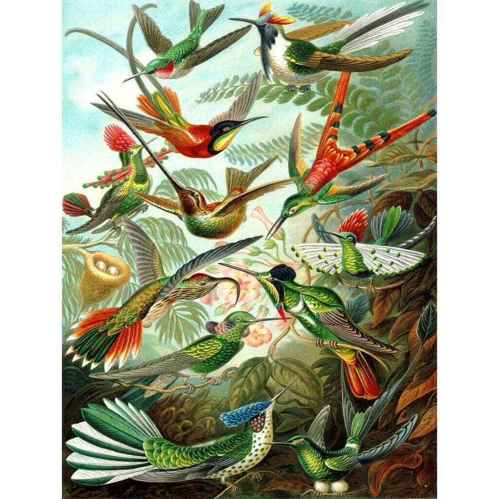 Hummingbirds Jigsaw Puzzle