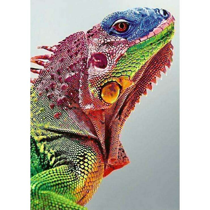 Iguana WD065 10.6 x 14.9 inches Wizardi Diamond Painting Kit